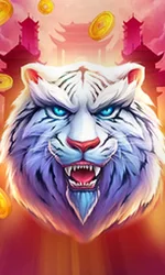 Luck of Tiger