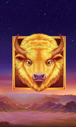 Buffalo's Sun 2