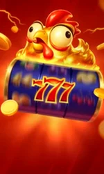 Chicken Coin